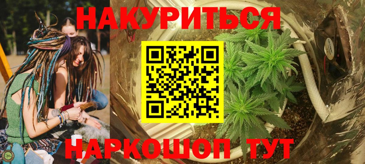 Канабис сатива Подольск